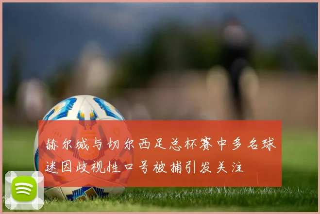 赫尔城与切尔西足总杯赛中多名球迷因歧视性口号被捕引发关注