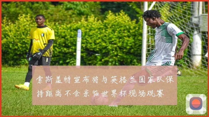 索斯盖特宣布将与英格兰国家队保持距离不会亲临世界杯现场观赛