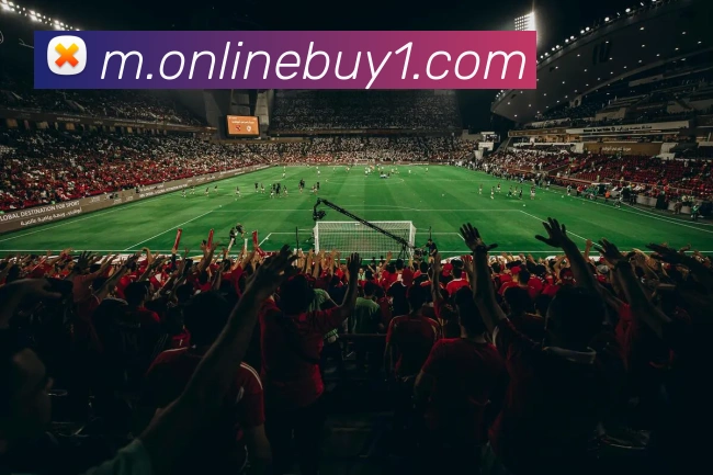 在线买球网站APP 封面图